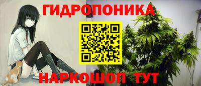 крисы Балахна