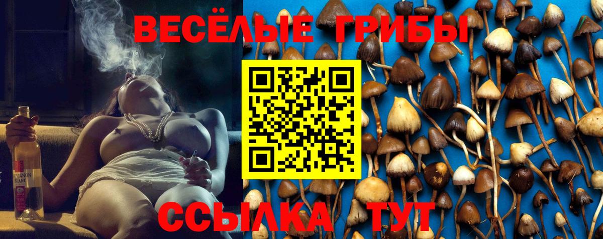 цена наркотик  Галлюциногенные грибы Psilocybine cubensis  Вход с VPN  Губкинский 