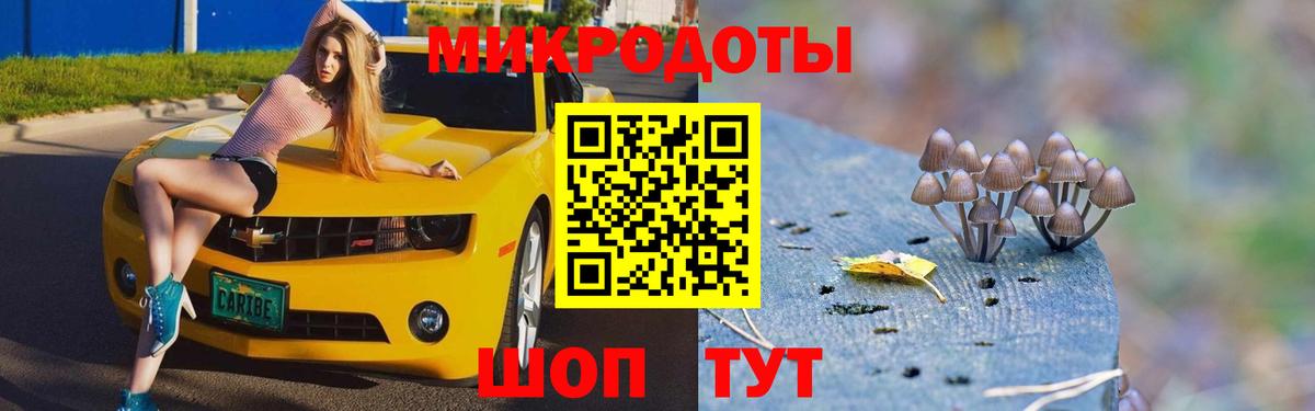 Галлюциногенные грибы мицелий Губкинский